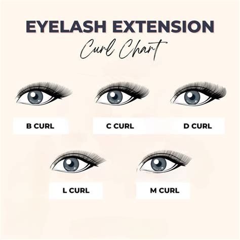 Eyelash Extension Curl Chart