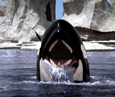 Orca 1977 Dvd Zeus
