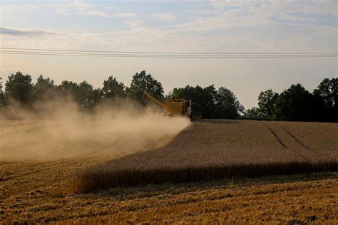 Harvest Field Agriculture - Free photo on Pixabay - Pixabay