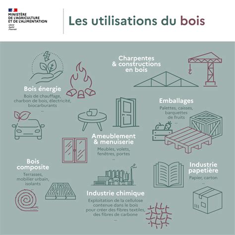 Les Innovations Du Bois En Vers Un Futur Durable Et Cr Atif