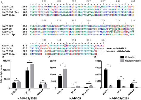 Human Adenovirus Type 26 Uses Sialic Acidbearing Glycans As A Primary