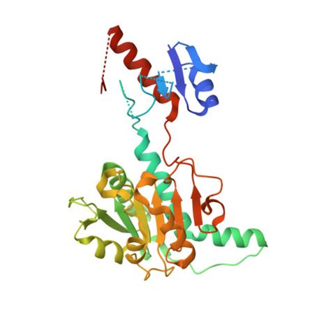 Rcsb Pdb Unn Crystal Structure Of Nadph Dependent Glyoxylate