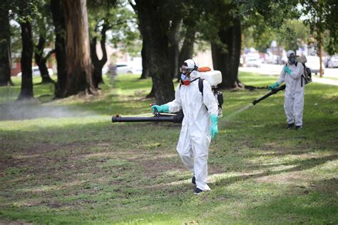 Desde la Municipalidad intensifican la fumigación de mosquitos NexoDiario