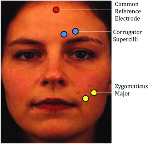 Electrode Placement For Measuring Facial Emg Guidelines From Fridlund