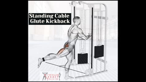 Standing Cable Glute Kickback Youtube