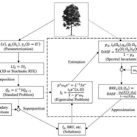 Schematic Diagram Of The Radiative Transfer Equation Rte And The Download Scientific Diagram