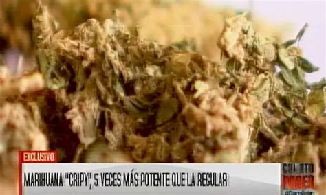 Marihuana ‘cripy Nueva Droga Se Trafica En La Frontera Entre Perú Y Ecuador