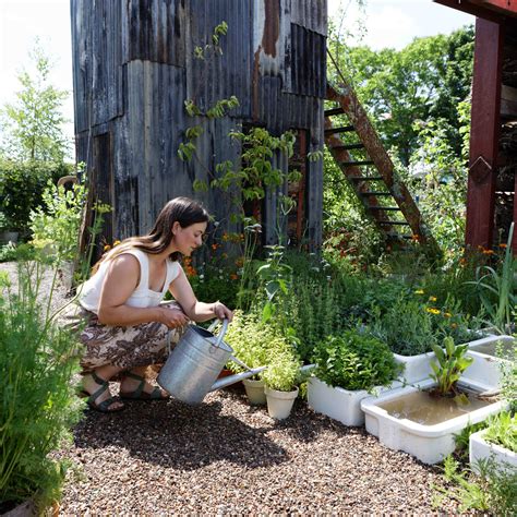 Gallery Bbc Gardeners World Live