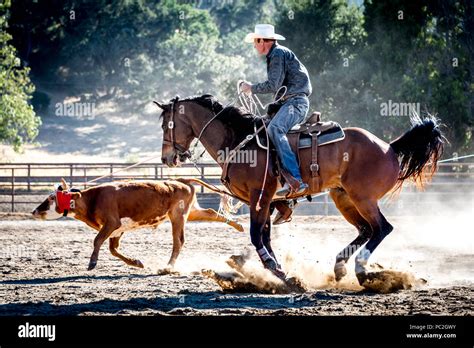 Wrangler jeans hi-res stock photography and images - Alamy