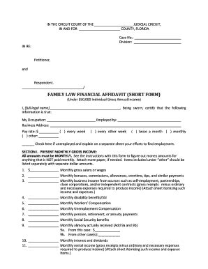 Financial Affidavit 2020 2024 Fill And Sign Printable Template Online