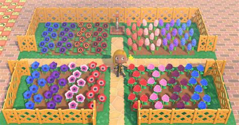 Acnh Flower Field Ideas How To Make A Flower Bed Animal Crossing