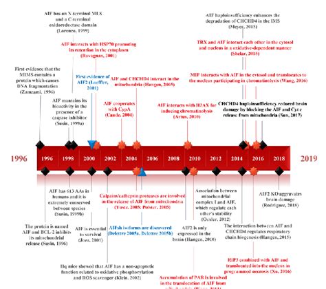 Timeline With The Breakthrough Discoveries About AIF Different