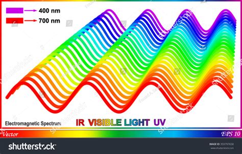 Electromagnetic Spectrum Visible Light Stock Vector Royalty Free