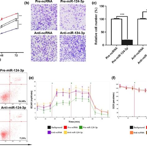 Role Of Microrna Mir 124 3p In Cell Proliferation Invasion Download Scientific Diagram