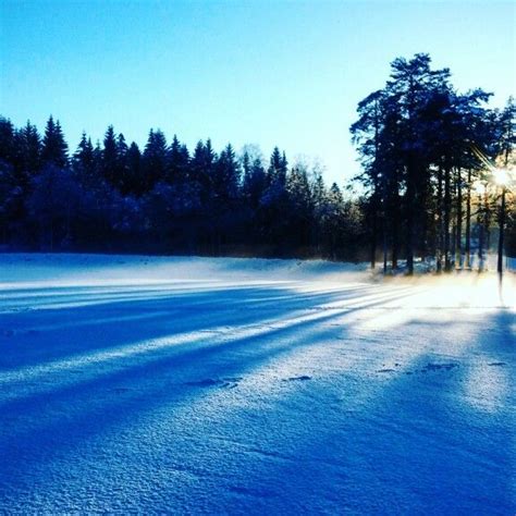 Sognsvann Lake Oslo Norway Norway Oslo Lake