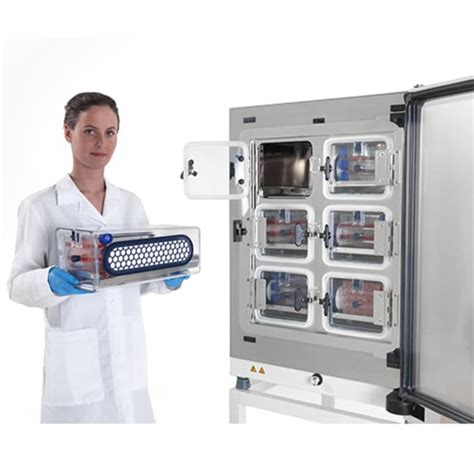 Thermo Scientific Heracell Vios I Co Inkubator Mit Zellfach