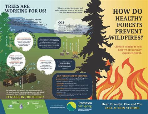 Infographics Transition Salt Spring Society