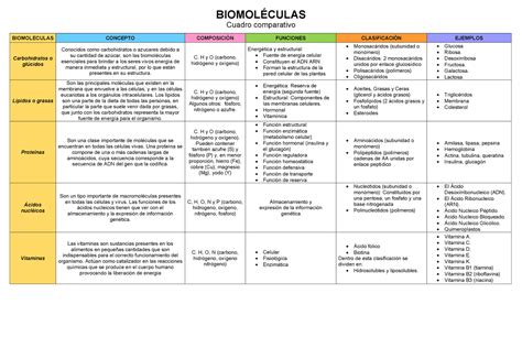 Tabla De Biomoleculas My XXX Hot Girl