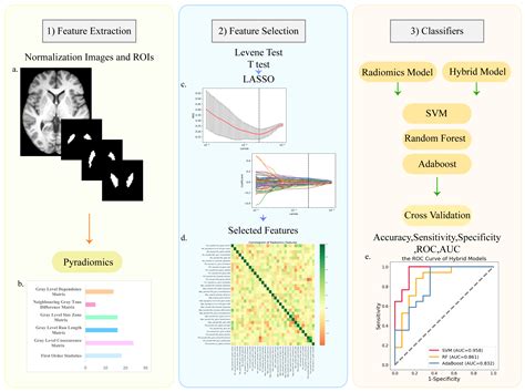 Radiomics And Hybrid Models Based On Machine Learning To Predict