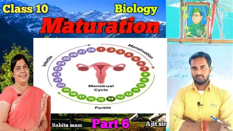 The Menstrual Cycle Menstrual Cycle In Hindi Female Reproductive Cycle Hindi Hormone