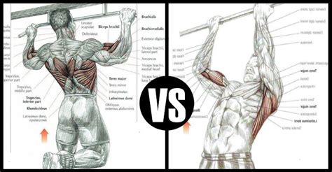 Chin Ups Vs Pull Ups And How To Get Better At Both Bodydulding