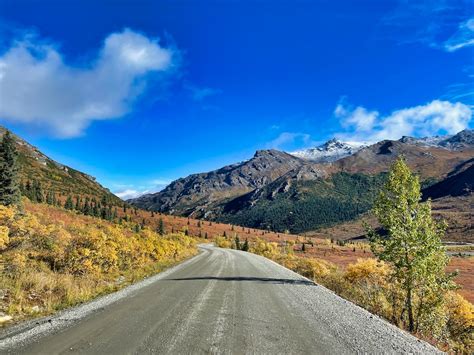 Is Denali National Park Worth It An Alaskan Perspective