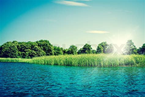 Vand Med Spejlbillede Af Naturen Vandl B Med Flot Natur Flot Natur