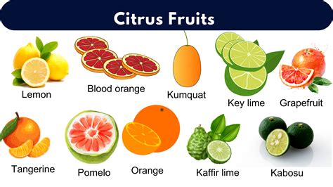 List of All Citrus Fruits | Citrus Fruits Name With Pictures - GrammarVocab