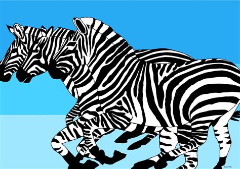 Zebra Stampede Africa - Etsy