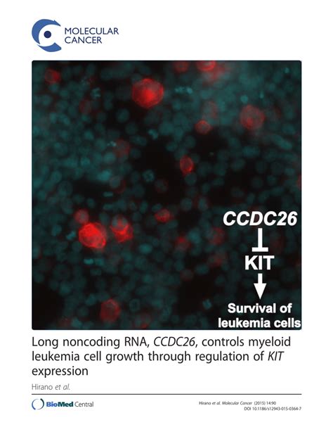 PDF Long Noncoding RNA CCDC26 Controls Myeloid Leukemia Cell Growth