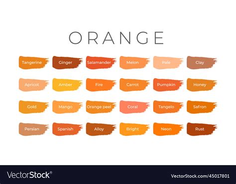 Orange Paint Color Swatches With Shade Names On Vector Image