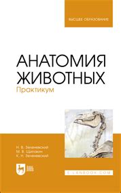 ЭБС Лань