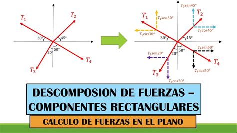 Descomposicion De Fuerzas En Sus Componentes X Y Y Calculo De Fuerzas