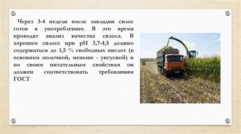 Заготовка силоса - презентация онлайн