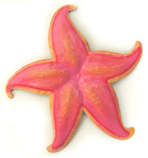 Starfish Outdoor Metal Wall Art Painted Metal Shell Wall Etsy