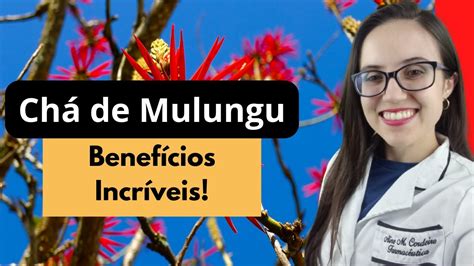 Ch De Mulungu Para Que Serve Youtube