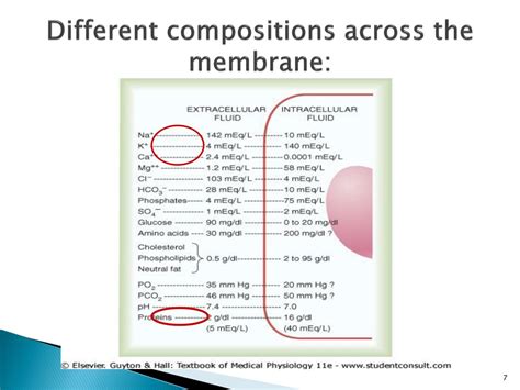 Ppt Cell Physiology Bds Lecture Body Fluid Compartments