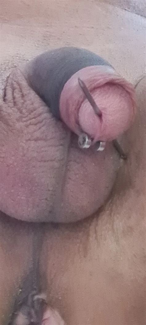 Pierced Cock Nude Pics Xhamster