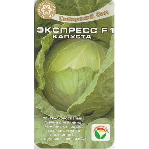 Капуста "Экспресс F1" - Семена ВК Омск, Купить Семена в Омске