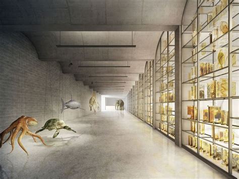 Neubau F R Naturhistorisches Museum Und Staatsarchiv Em N Gewinnen