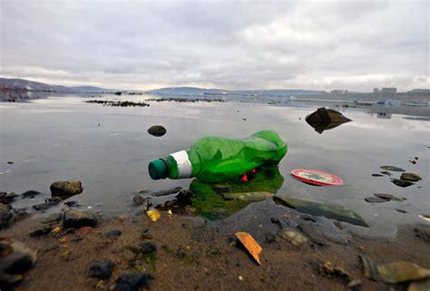 El Ártico también sufre la contaminación por plástico El Mundo Ecológico