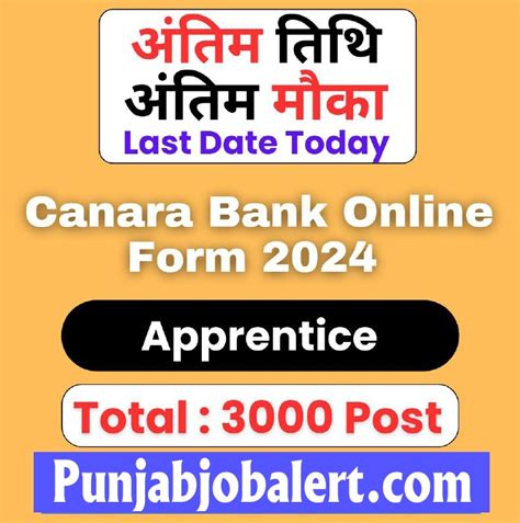 Canara Bank 3000 Apprentice Merit List Out Punjab Job Alert