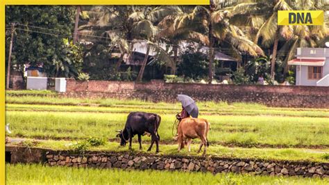 Meet owner of over 17 crore acres of land, owns land in every state of ...