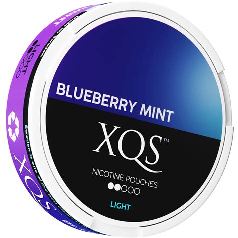 Buy Blueberry Mint 4mg Light Nicotine Pouches Xqs