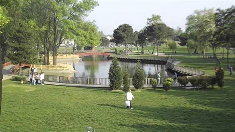 An Artificial Lake Youtube