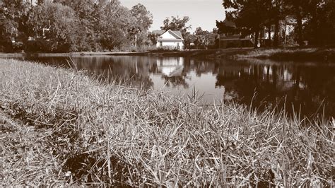 Stormwater Ponds The Coast Re Plumbed Sc Sea Grant Consortium