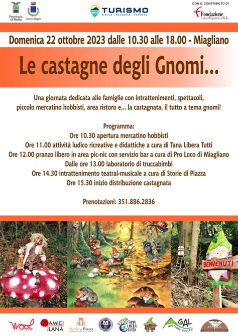 Le Castagne Degli Gnomi Ottobre Amici Della Lana