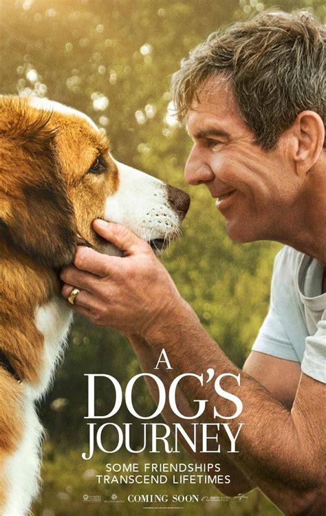 A Dog's Journey (2019) Bluray FullHD - WatchSoMuch