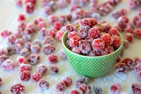 Candied Cranberries : 6 Steps (with Pictures) - Instructables