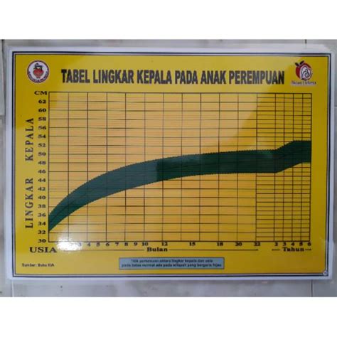jual  poster tabel lingkar kepala  anak perempuan shopee